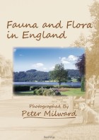 FAUNA AND FLORA IN ENGLAND : Peter Milward | BookWay書店 外国語版 Peter Milward Collection