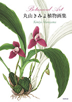 Botanical Artݻߤ迢ʪ轸